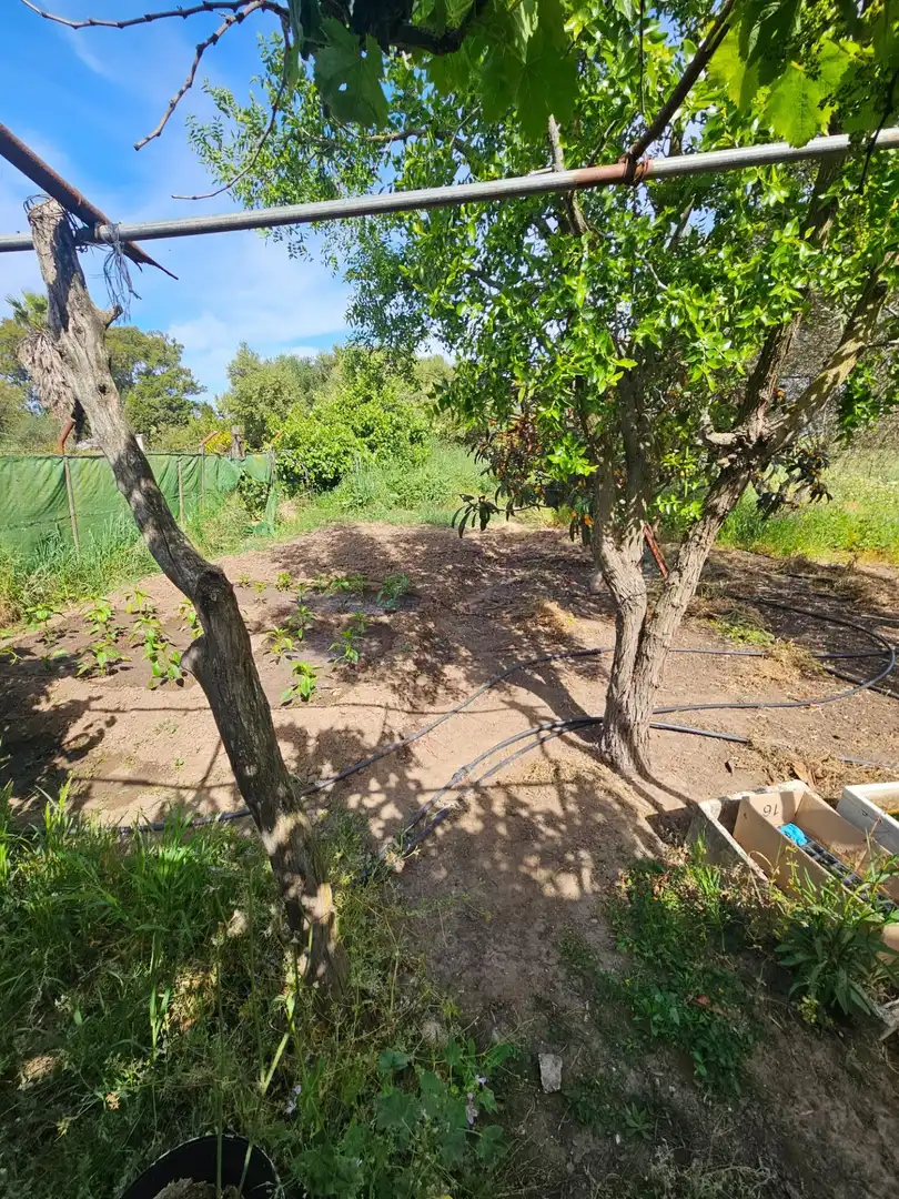 Maison rustique à vendre à Vejer, imagen 16