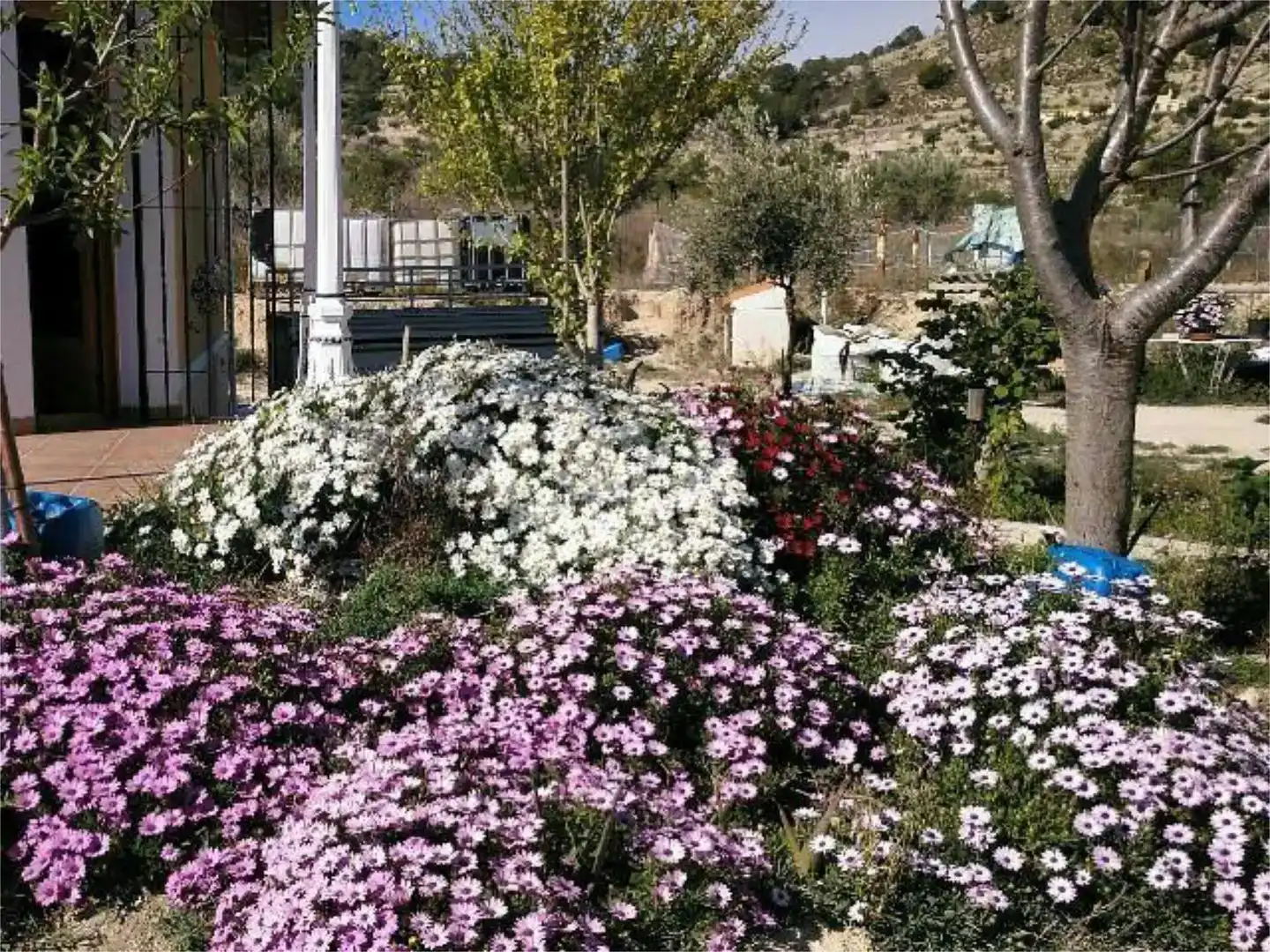 Jardí de Pis en venda en Relleu amb Jardí privat i Moblat