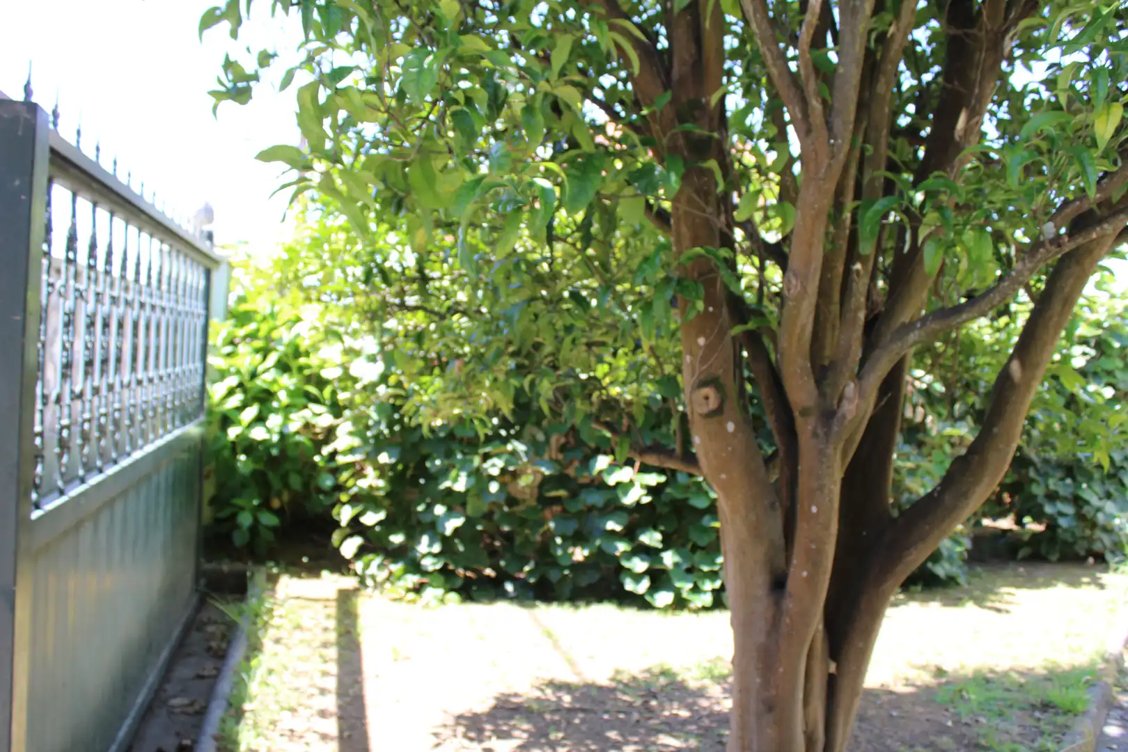 House with garden for sale in Miño, imagen 28