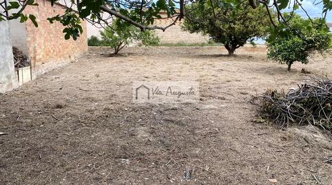 Photo 5 of House or chalet for sale in Nostra Senyora de L'assumpció, Deltebre, Tarragona