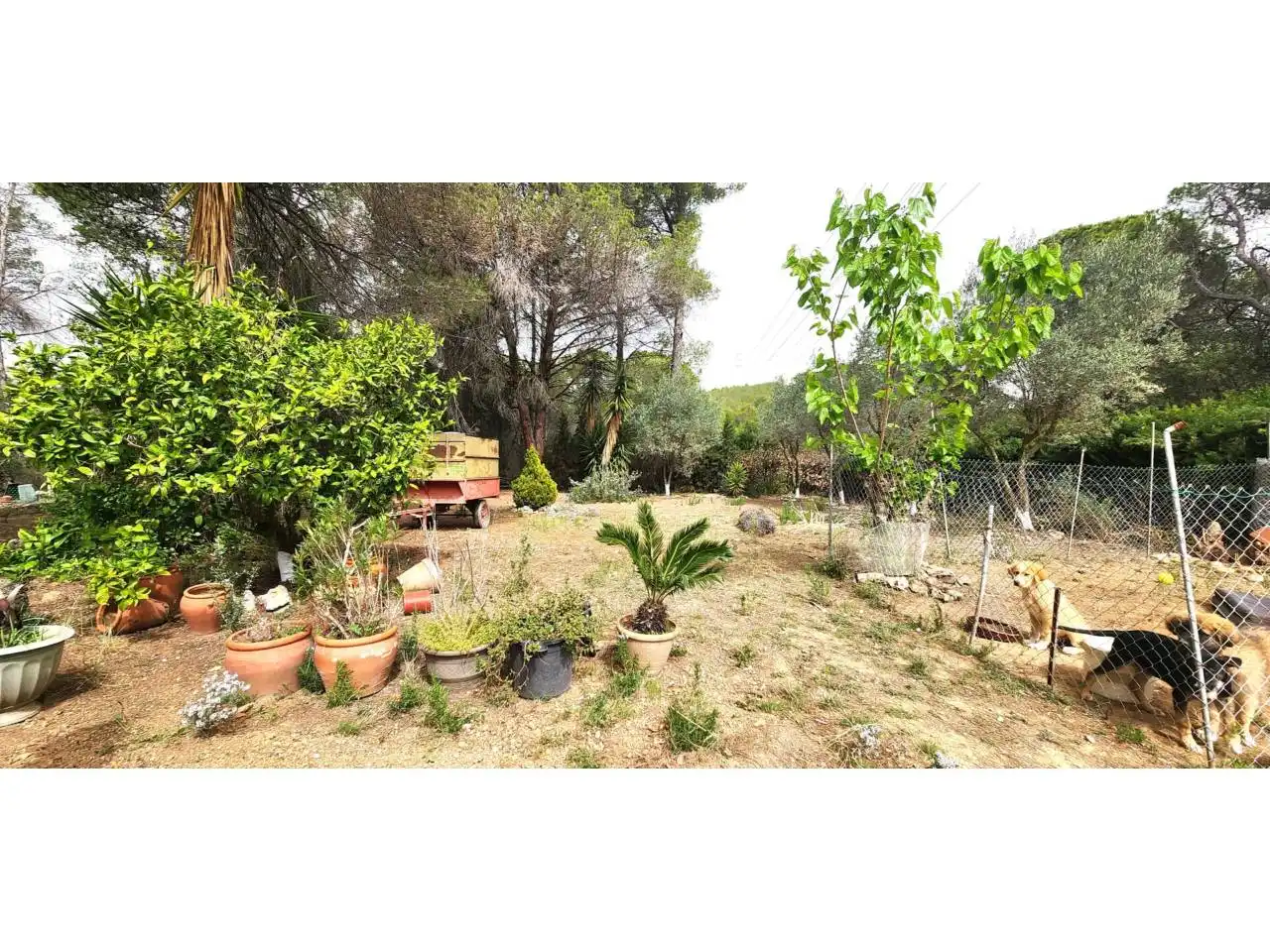 Jardín de Casa o chalet en venta en Rubí con Calefacción, Jardín privado y Parquet