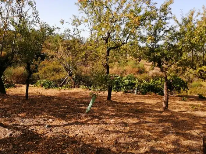 Terreni e lotti in vendita a Lecrín, imagen 9
