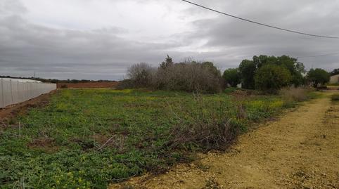 Foto 4 de Finca rústica en venta en Pelagatos - Pago del Humo, Chiclana de la Frontera