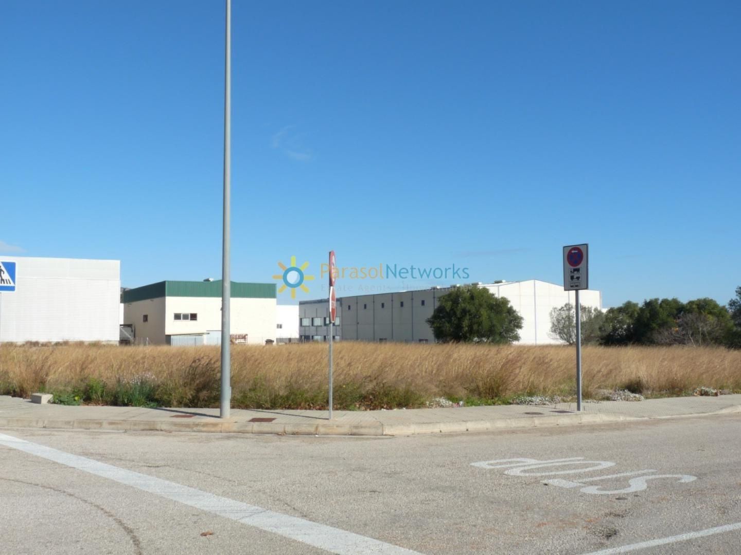 Exterior view of Industrial land for sale in Xeresa