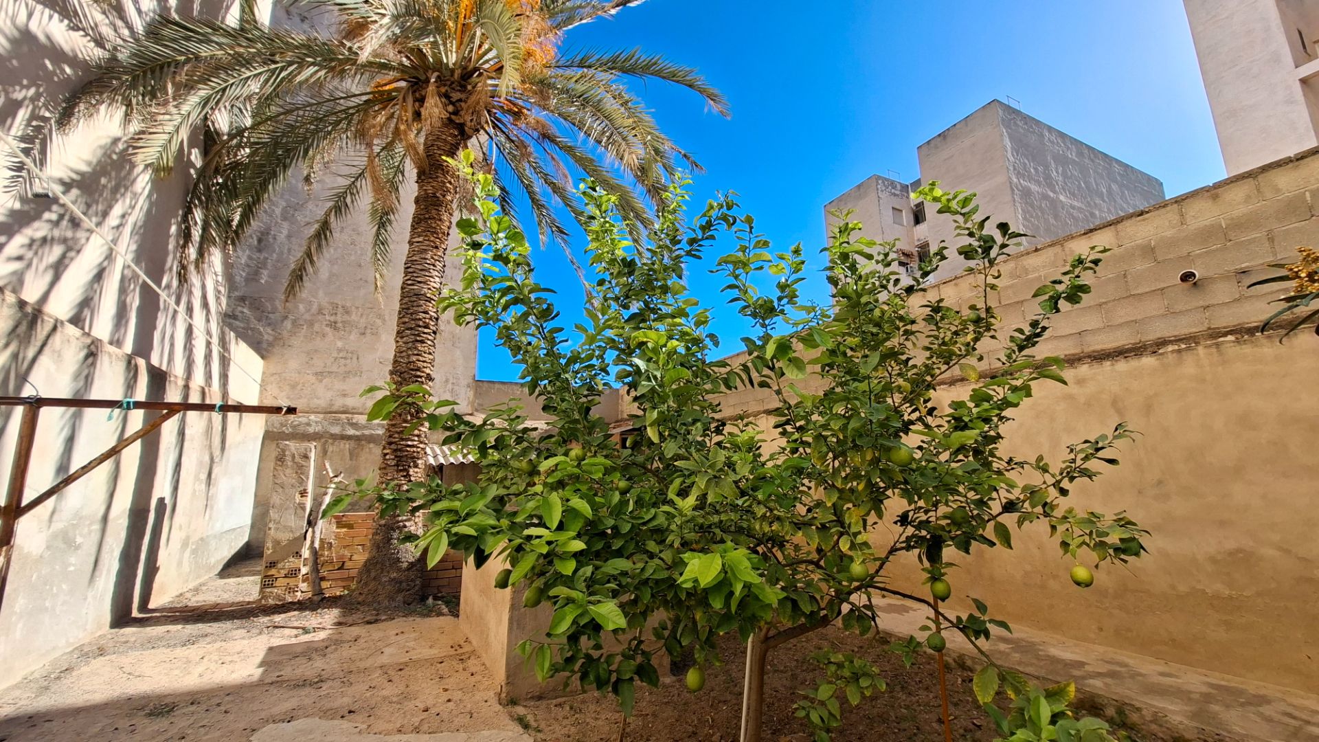 Jardí de Casa adosada en venda en San Vicente del Raspeig / Sant Vicent del Raspeig amb Jardí privat