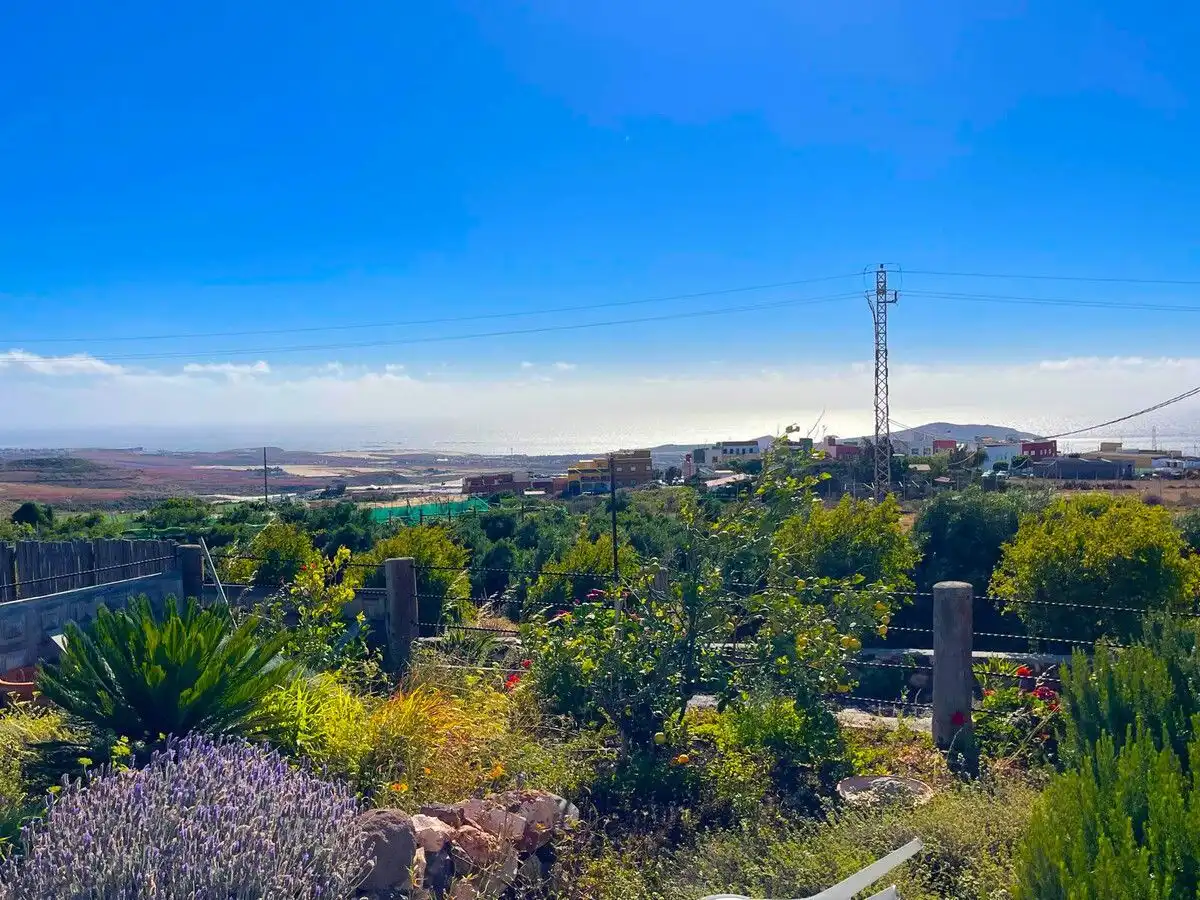 Exterior view of Land for sale in Ingenio