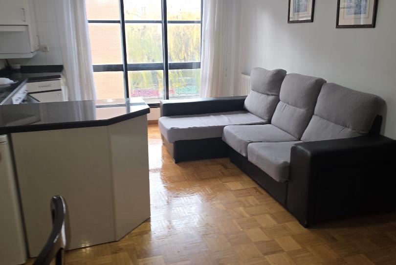 Photo 1 of Apartment to rent in San Pedro y San Felices, Burgos