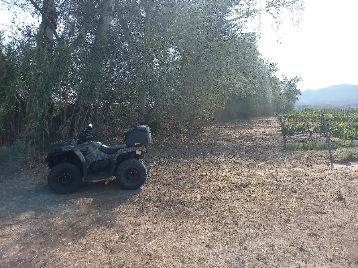 Lands and plots for sale in Ginestar, imagen 16