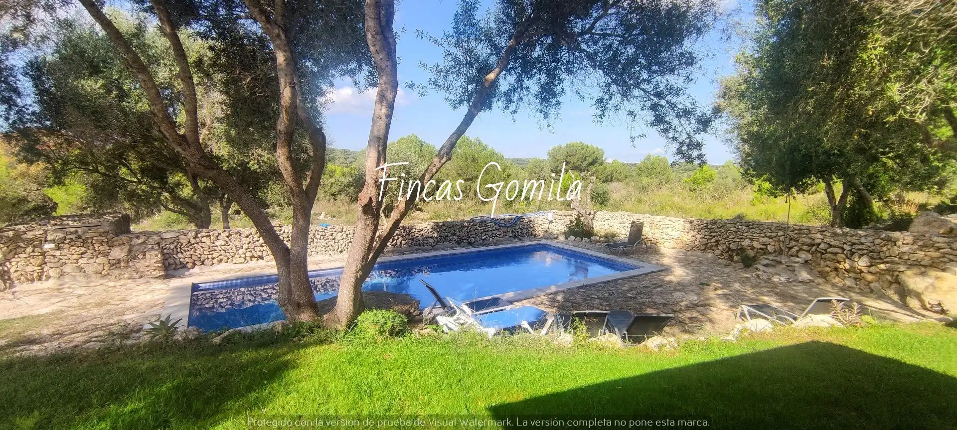 Piscina de Finca rústica en venda en Alaior amb Piscina