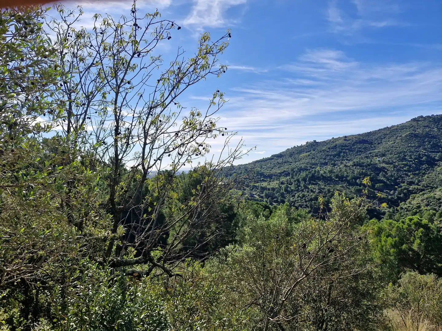 Vista exterior de Terreno en venta en La Selva del Camp