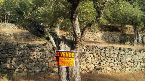 Foto 2 de Terreny en venda a Paseo Arturo Duperier, Pedro Bernardo, Ávila
