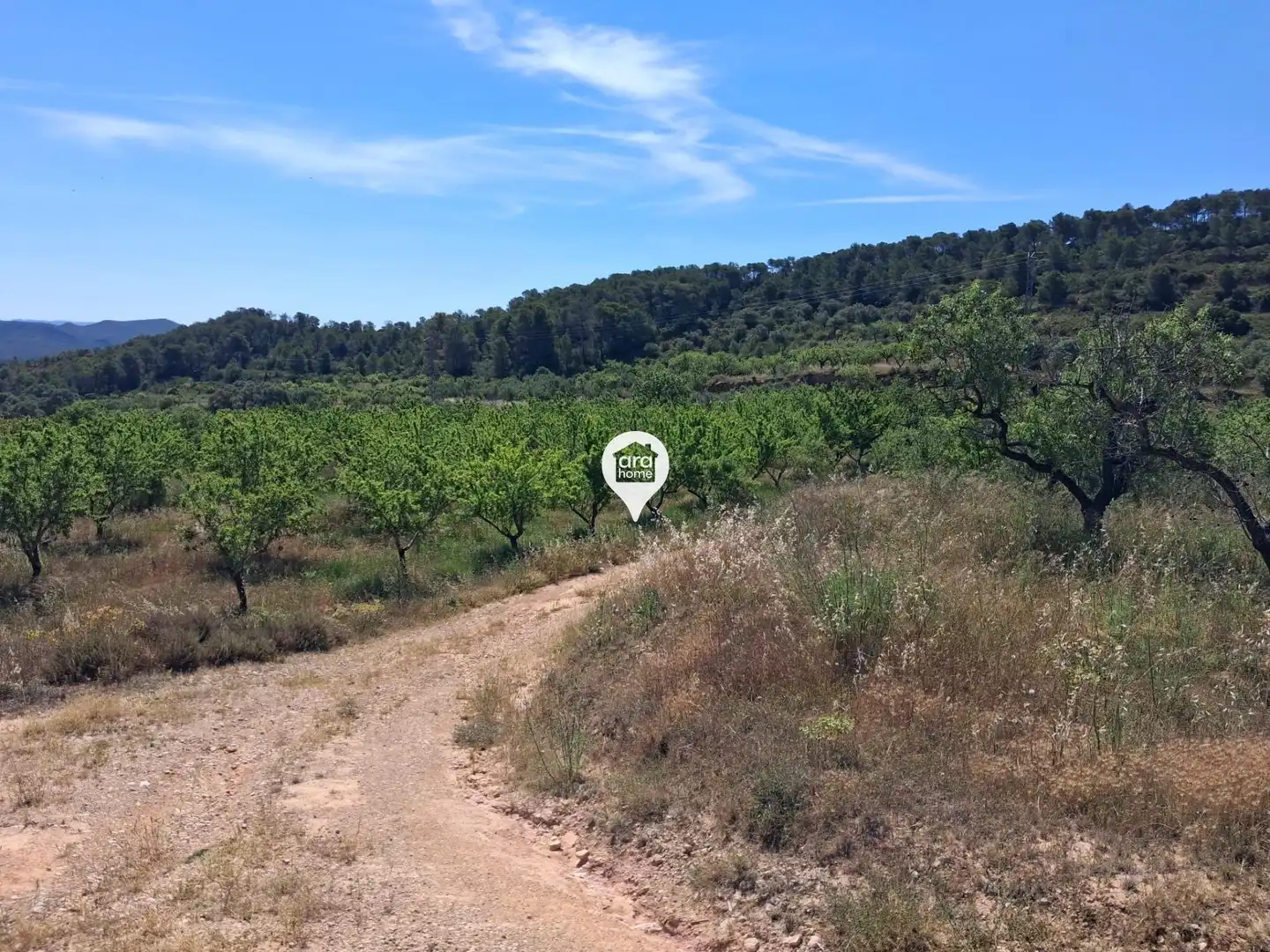Land for sale in Madrid