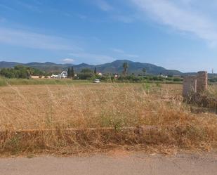 Land for sale in Alcanar