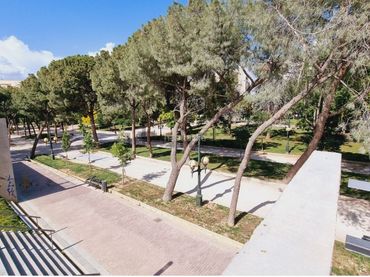 Piso con ascensor en venta en Calle de Simón Sainz de Varanda 13