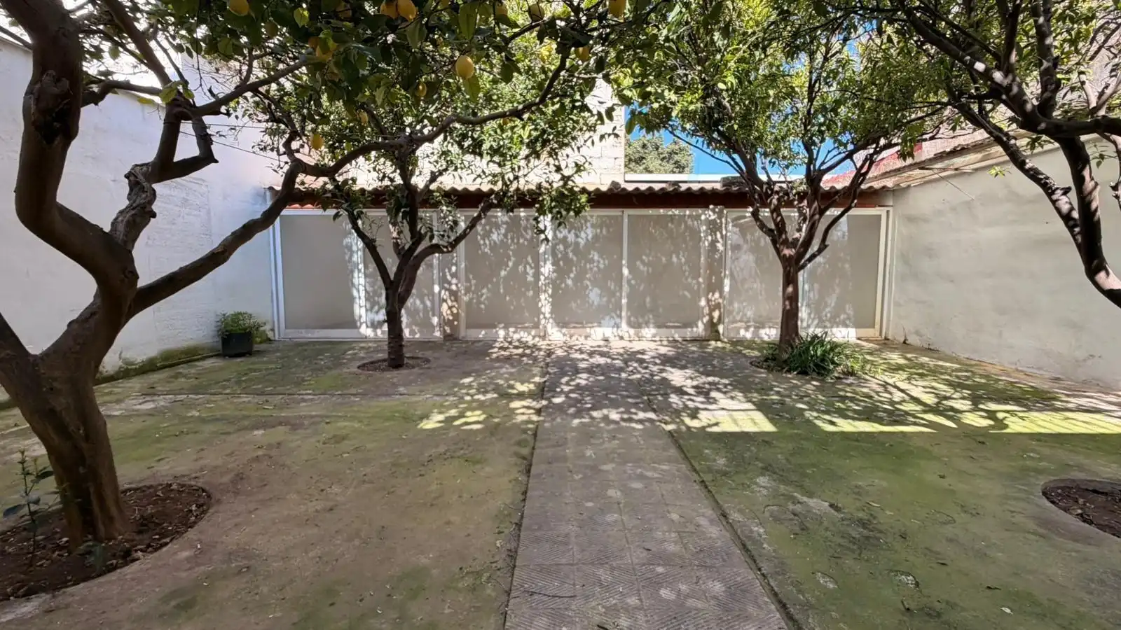 Exterior view of Buildings for sale in Inca