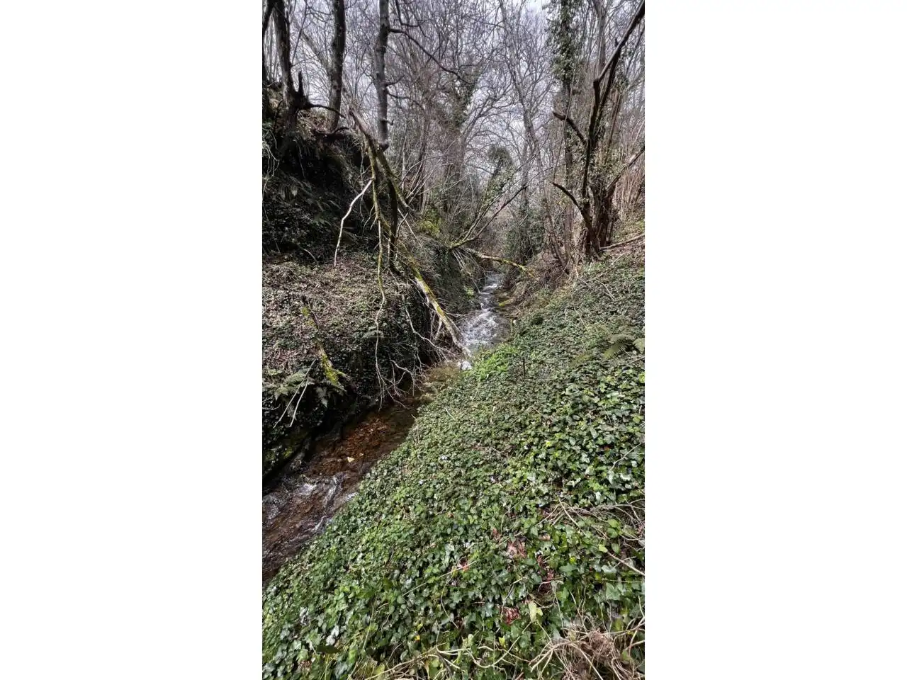 Vista exterior de Casa o xalet en venda en Merindad de Montija amb Calefacció, Jardí privat i Parquet