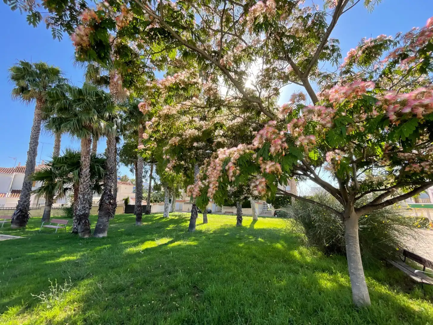 Garten von Wohnungen zum Verkauf in Dénia mit Klimaanlage, Heizung und Privatgarten