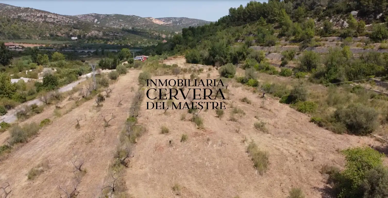 Terreno rustico in vendita a Cervera del Maestre, imagen 7
