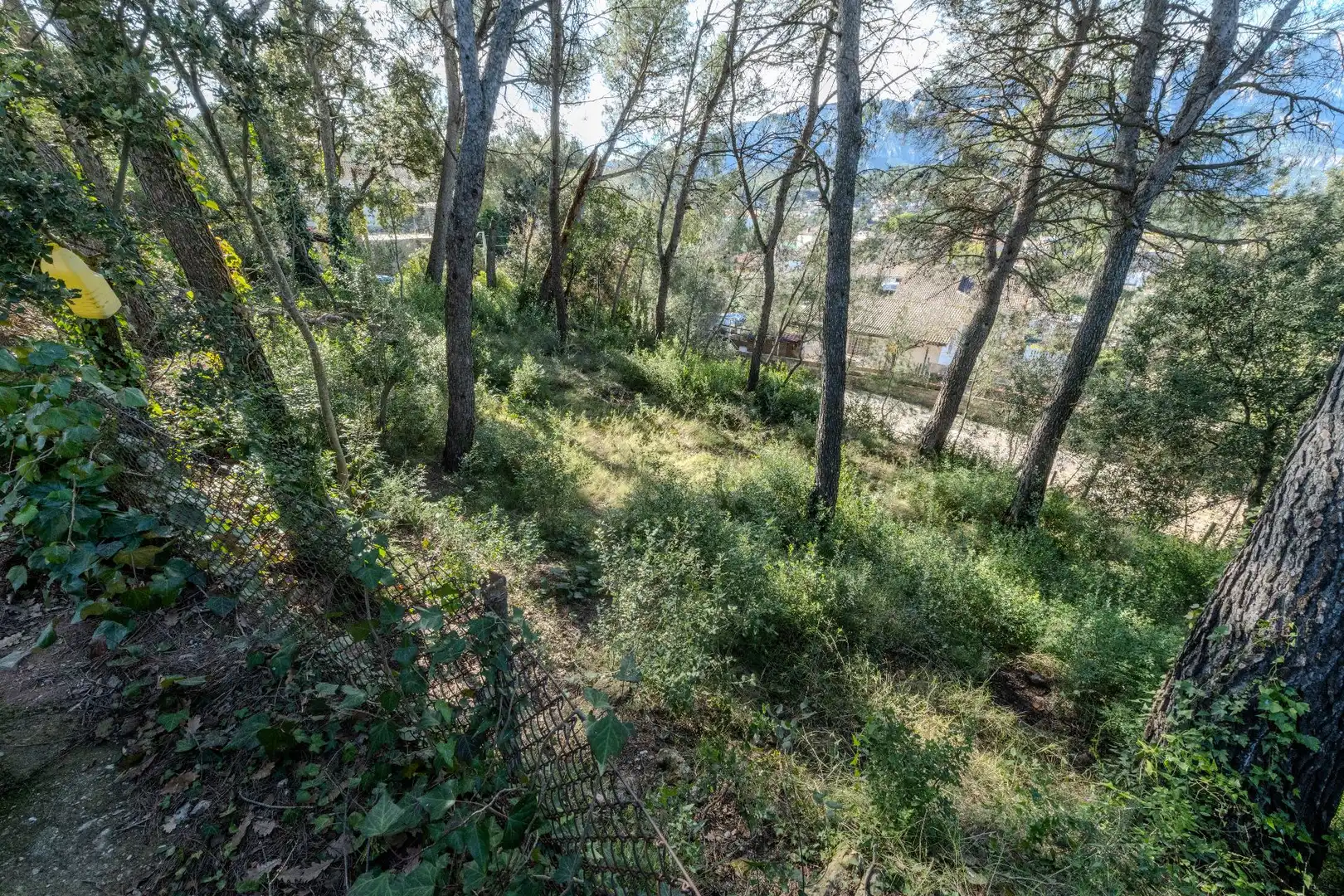 Lands and plots for sale in Castellbell i el Vilar, imagen 6