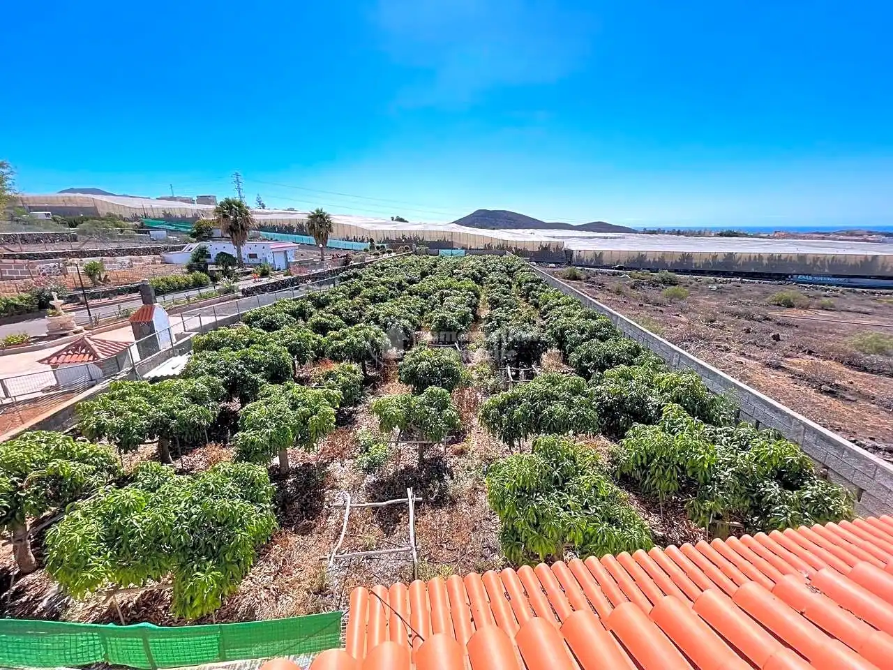 Jardín de Casa o chalet en venta en Arona con Jardín privado, Terraza y Piscina