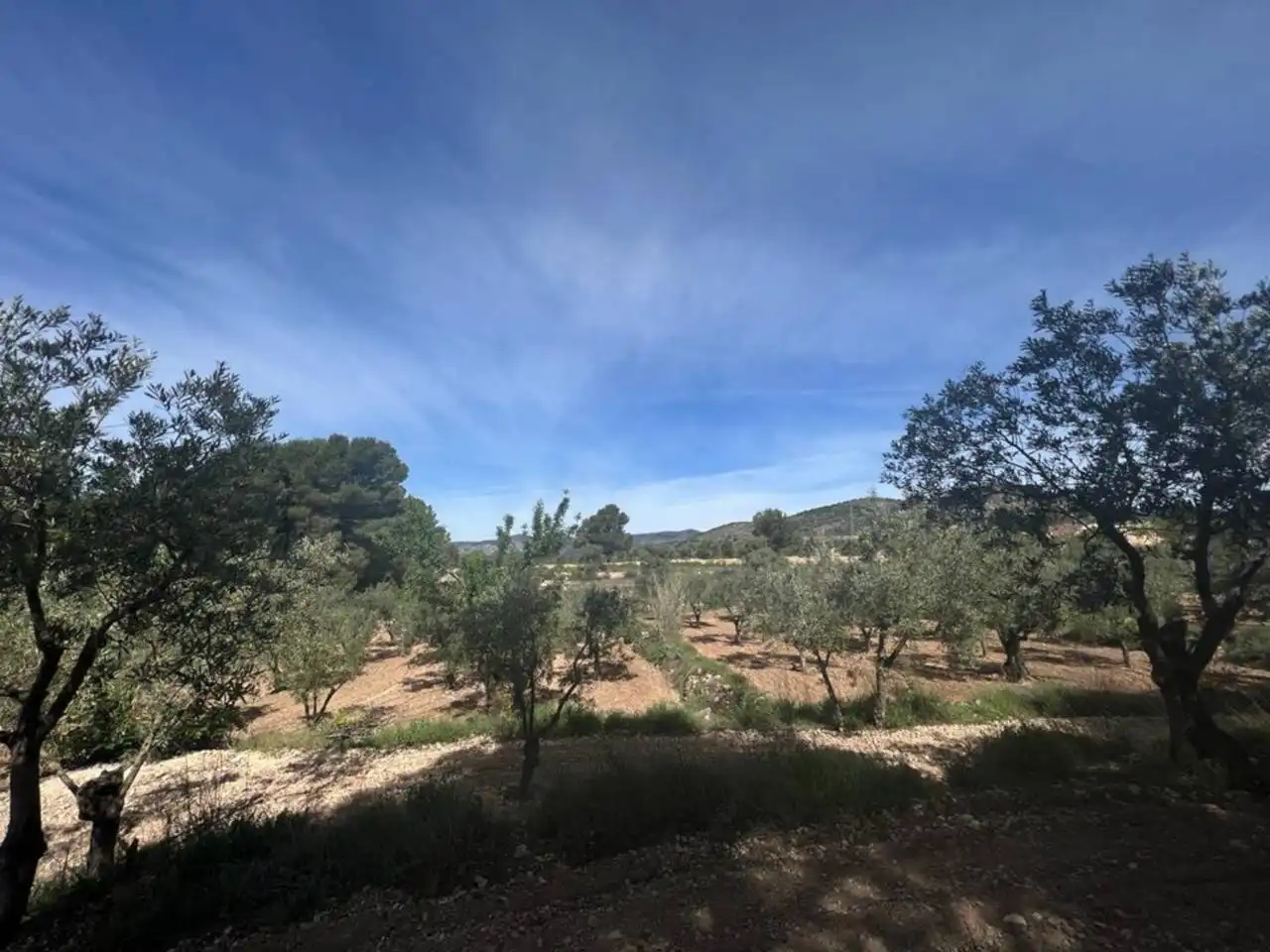 Chalet con jardín en venta en Calle Poligono, imagen 138