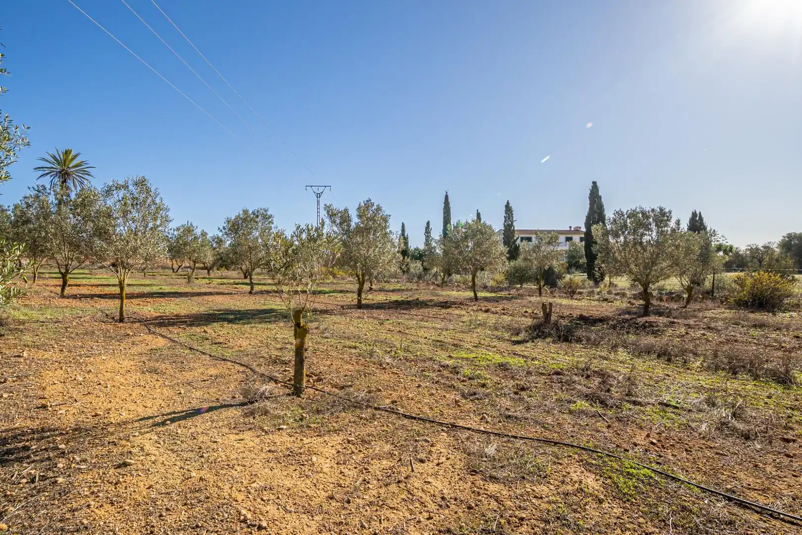 Country homes for sale in Llucmajor  with Air Conditioner, Heating and Private garden