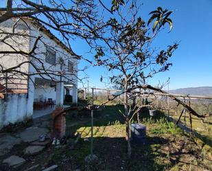 Jardí de Finca rústica en venda en Plasencia amb Terrassa