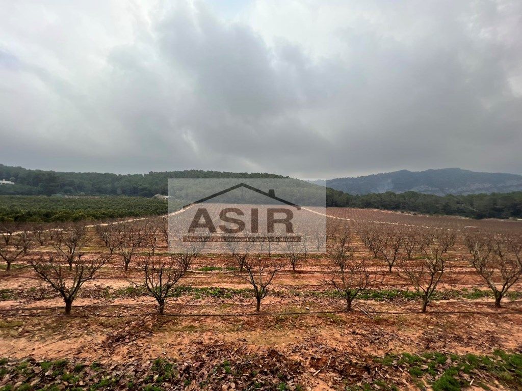 House or chalet for sale in Alzira