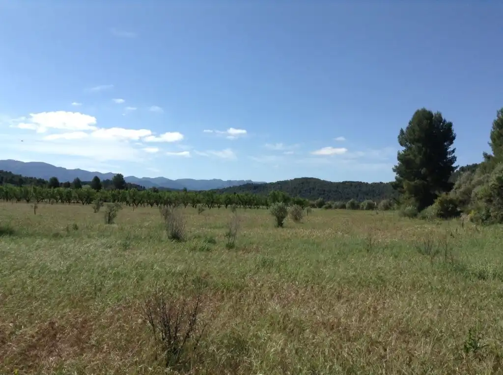 Terreni e lotti in vendita a Arens de Lledó, imagen 4