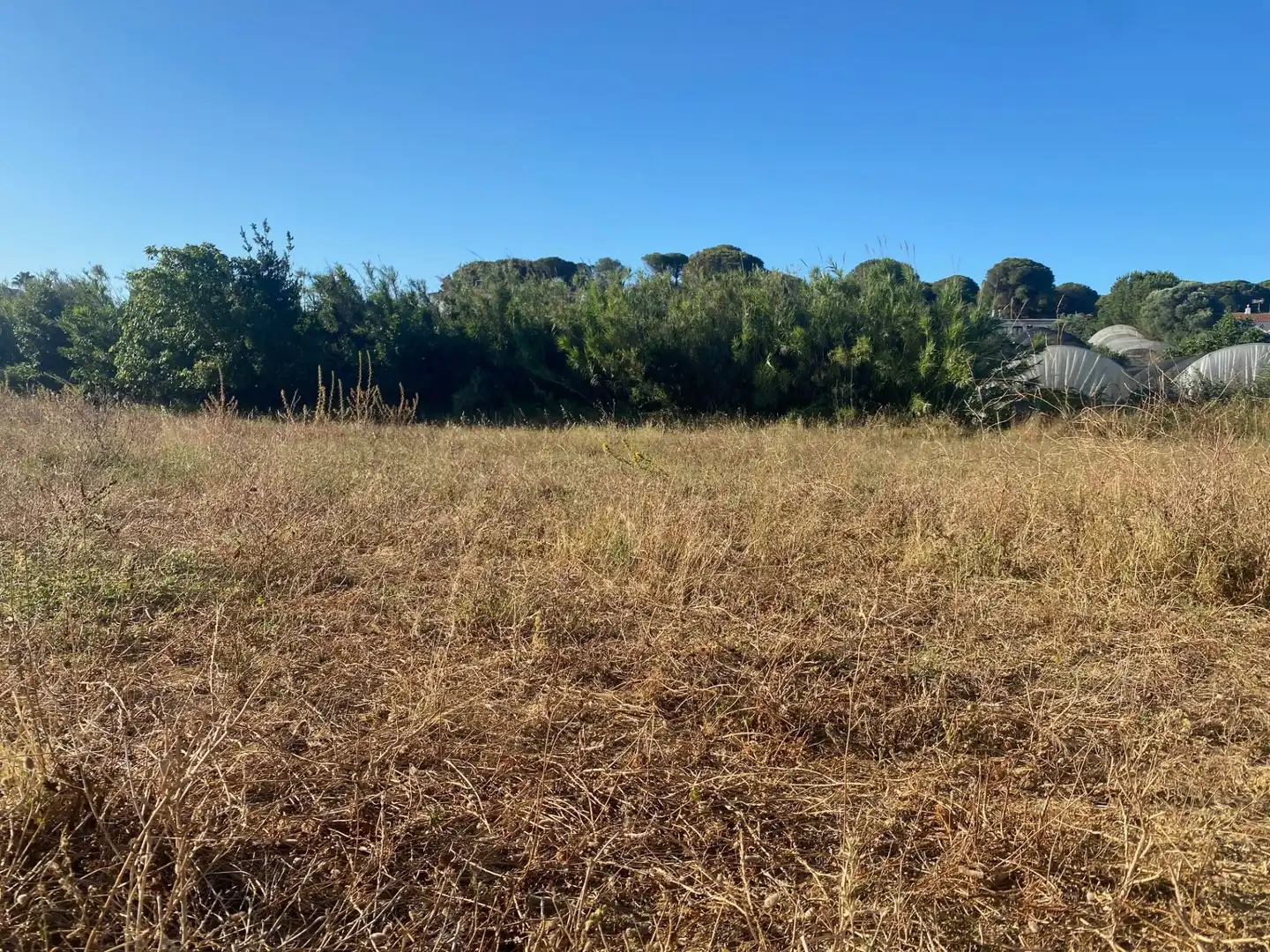 Terreny rústic en venda a Núcleo urbano, imagen 16