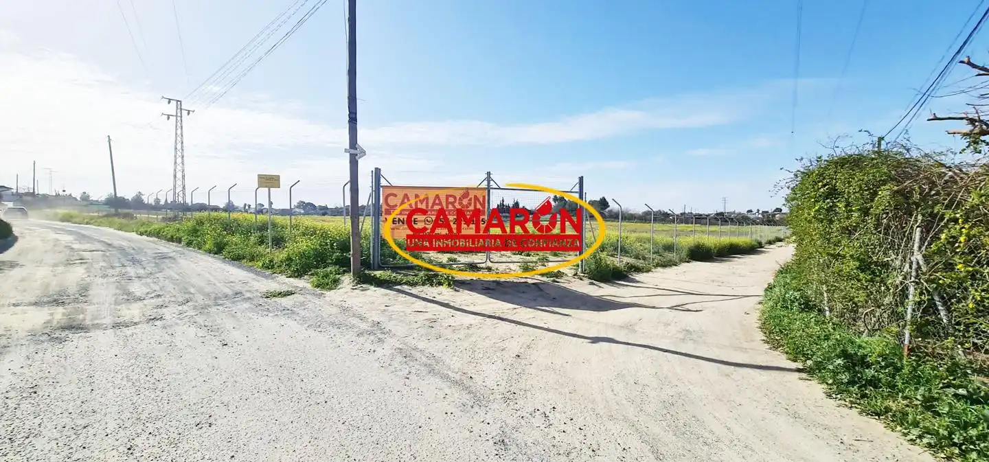 Terrenos y solares en venta en Coria del Río, imagen 6