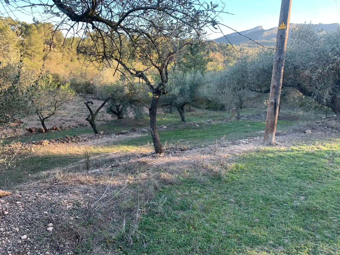 Terrain rustique à vendre à Avinguda Lluís Companys, imagen 7