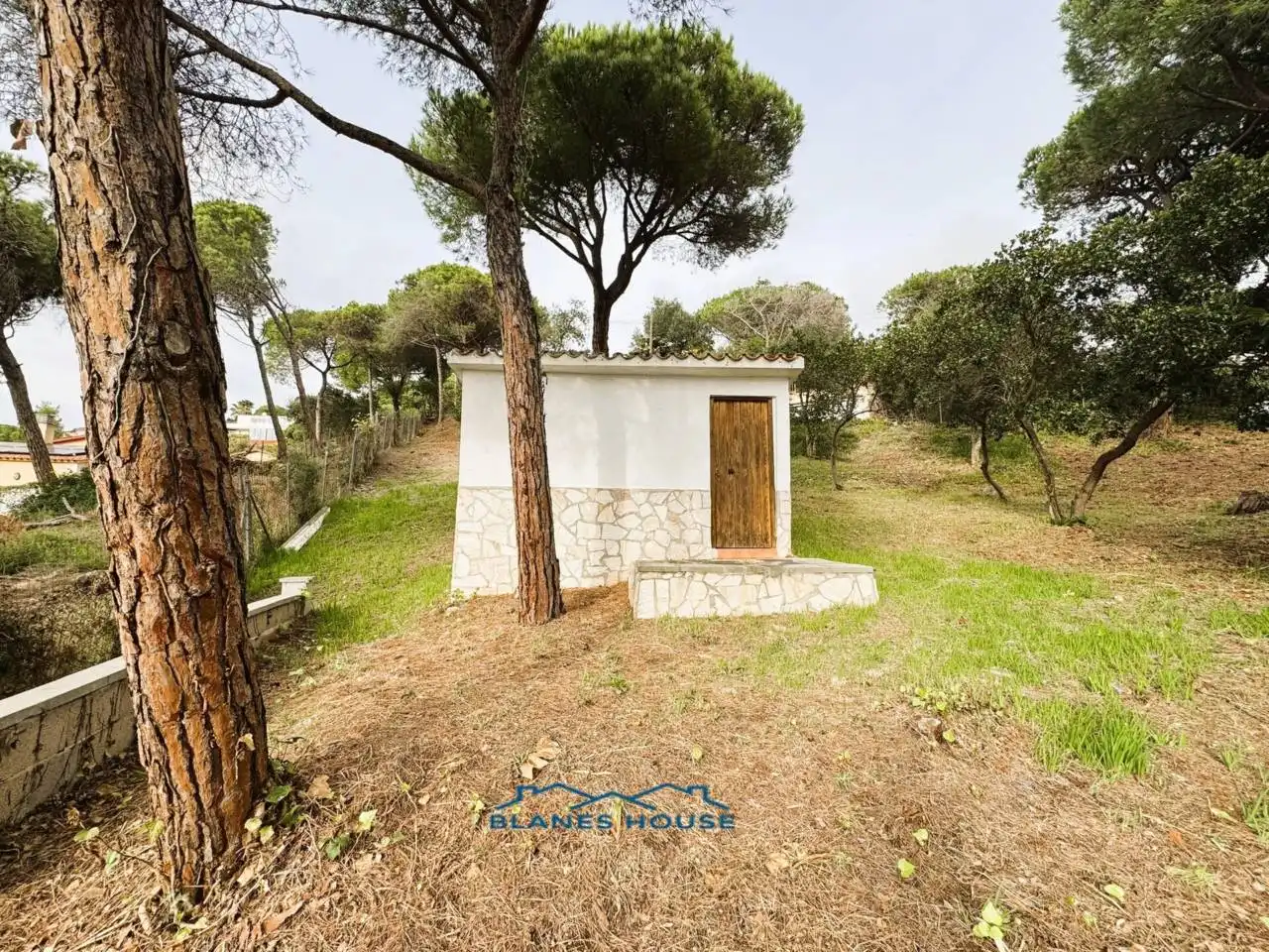 Jardí de Casa o xalet en venda en Tordera amb Aire condicionat, Jardí privat i Terrassa