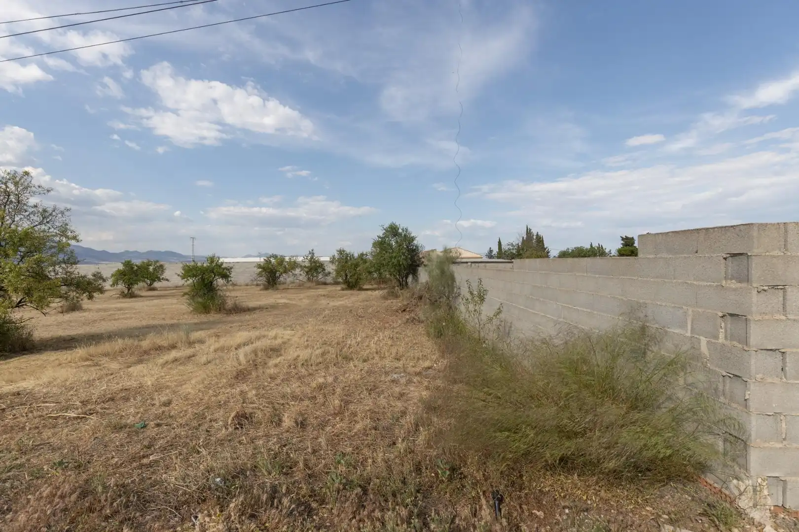 Rural land for sale in Polígono 10 Parcela 308 RIEGOS DE MORALEDA. MORAL, imagen 12
