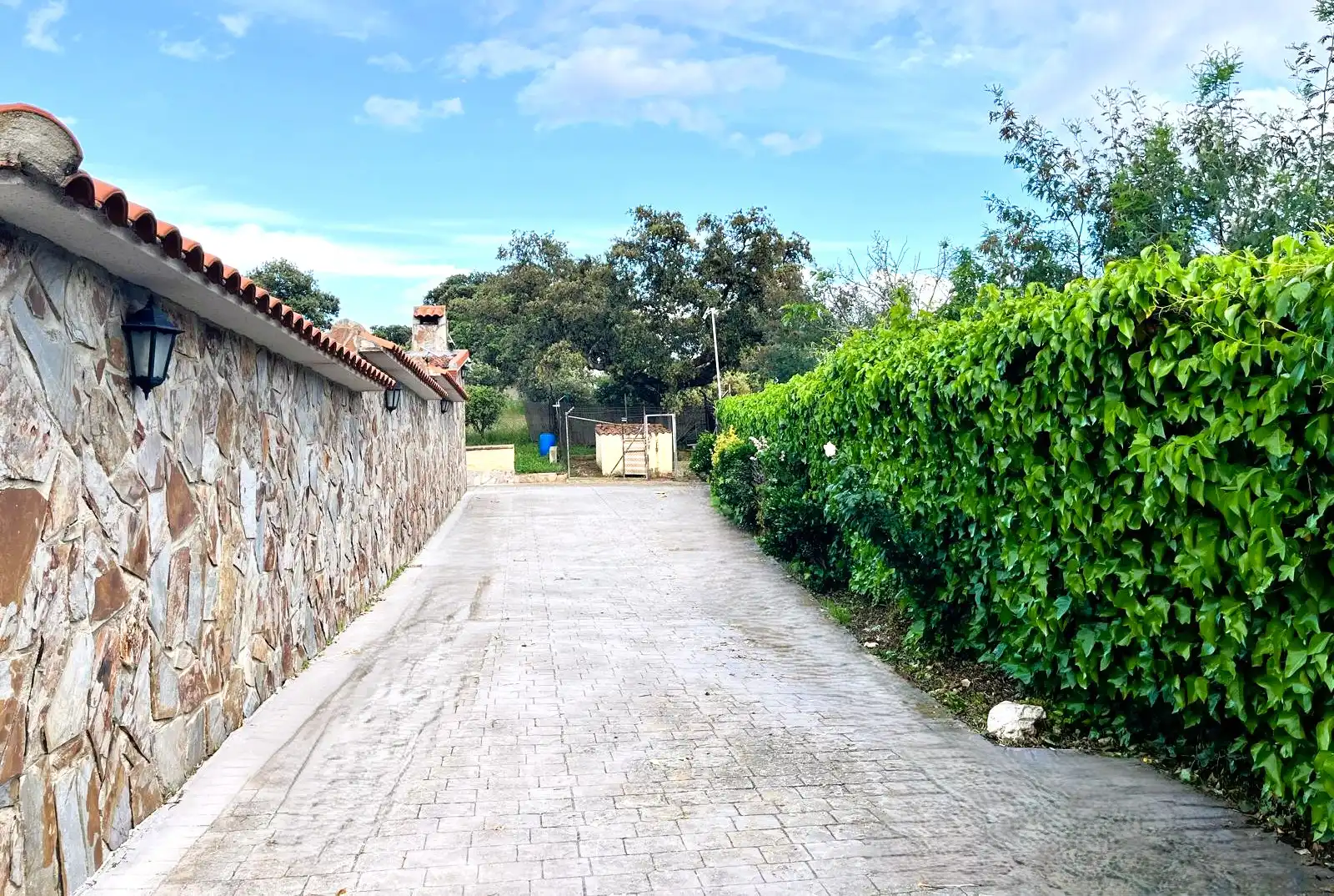 Finca rústica en venta en Santa Cruz del Retamar pueblo