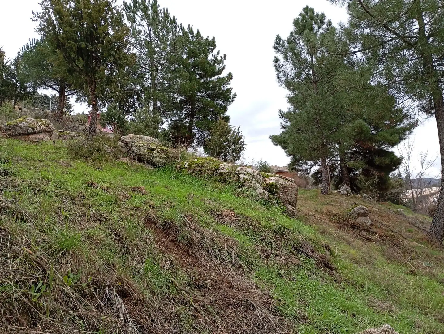 Terreni e lotti in vendita a Robledo de Chavela, imagen 11