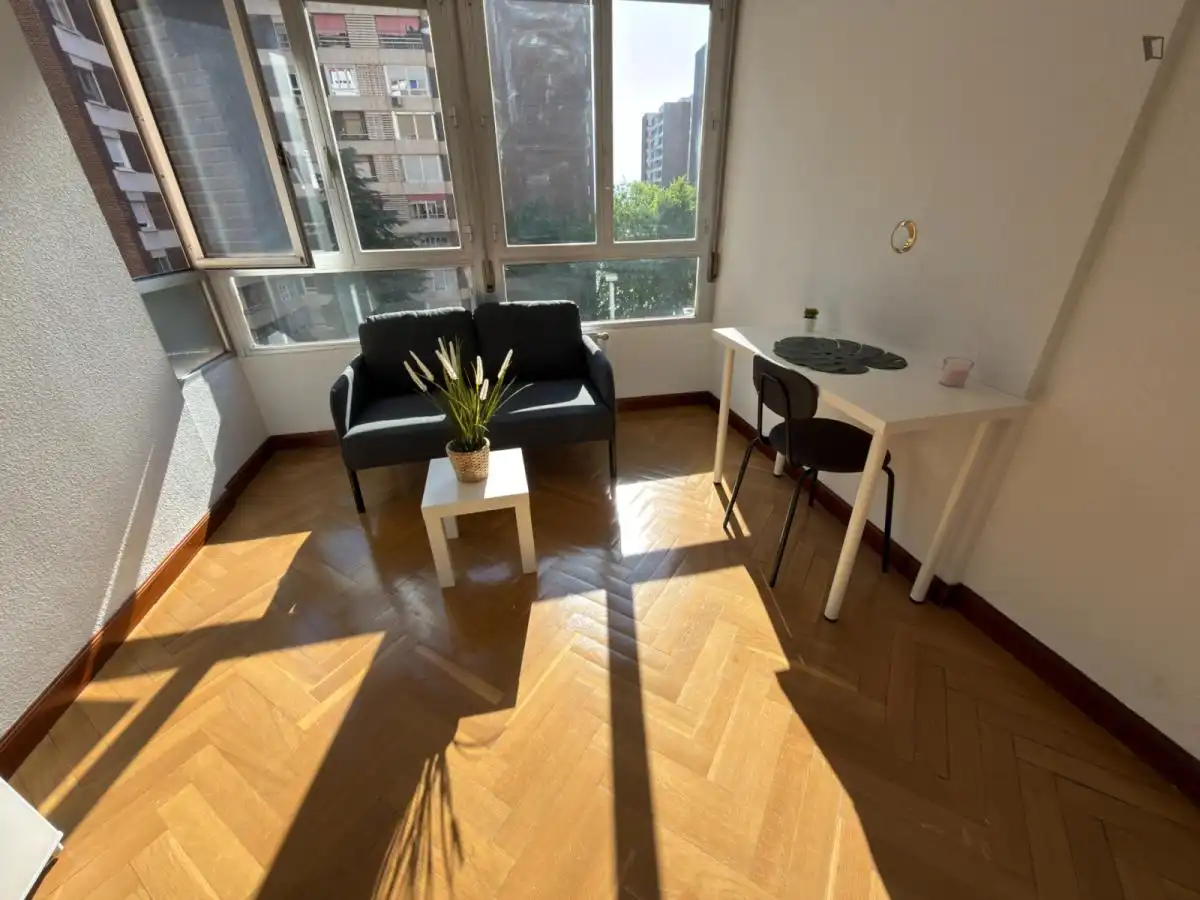 Sala d'estar de Apartament per a compartir en Madrid amb Calefacció, Moblat i Internet