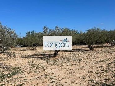 Terreny residencial en venda a Polígono parcela 593 9