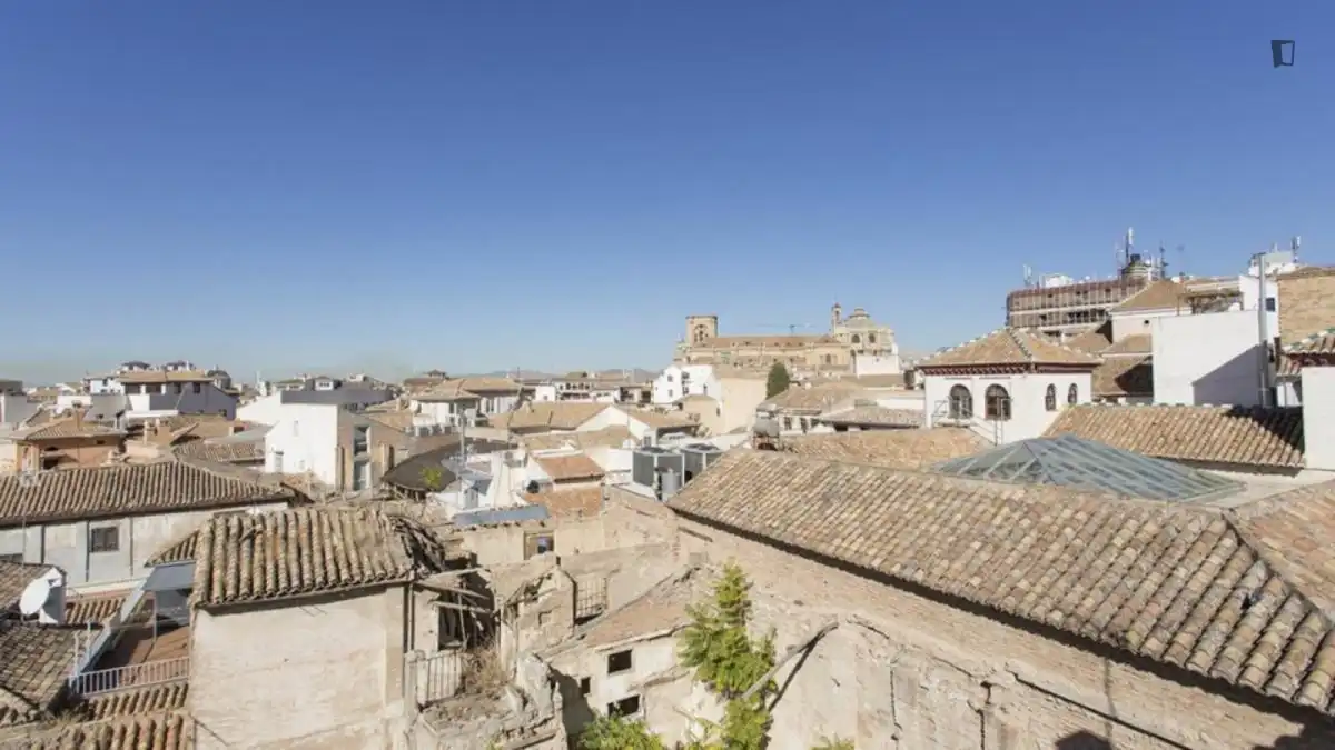 Apartments for rent in San Matías - Realejo