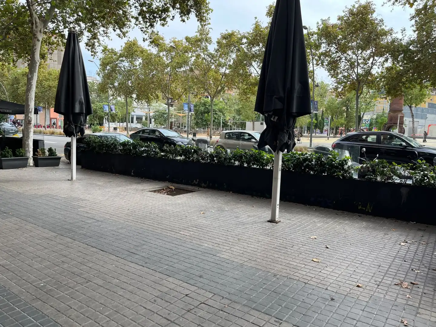 Business premises for transfer in Ciutat Vella, imagen 5