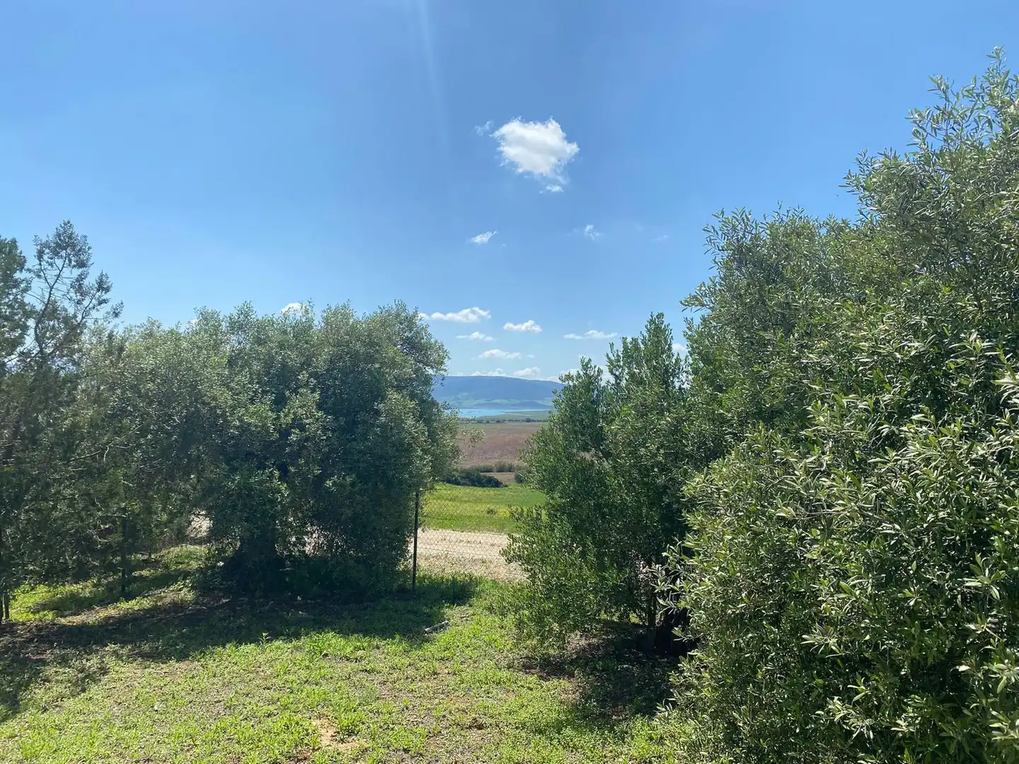 Terreno en venta en Arcos de la Frontera