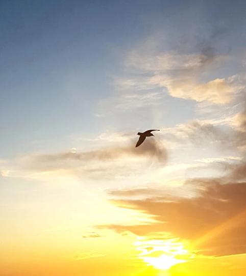 Foto 2 de Edifici en venda a Zahora, Barbate