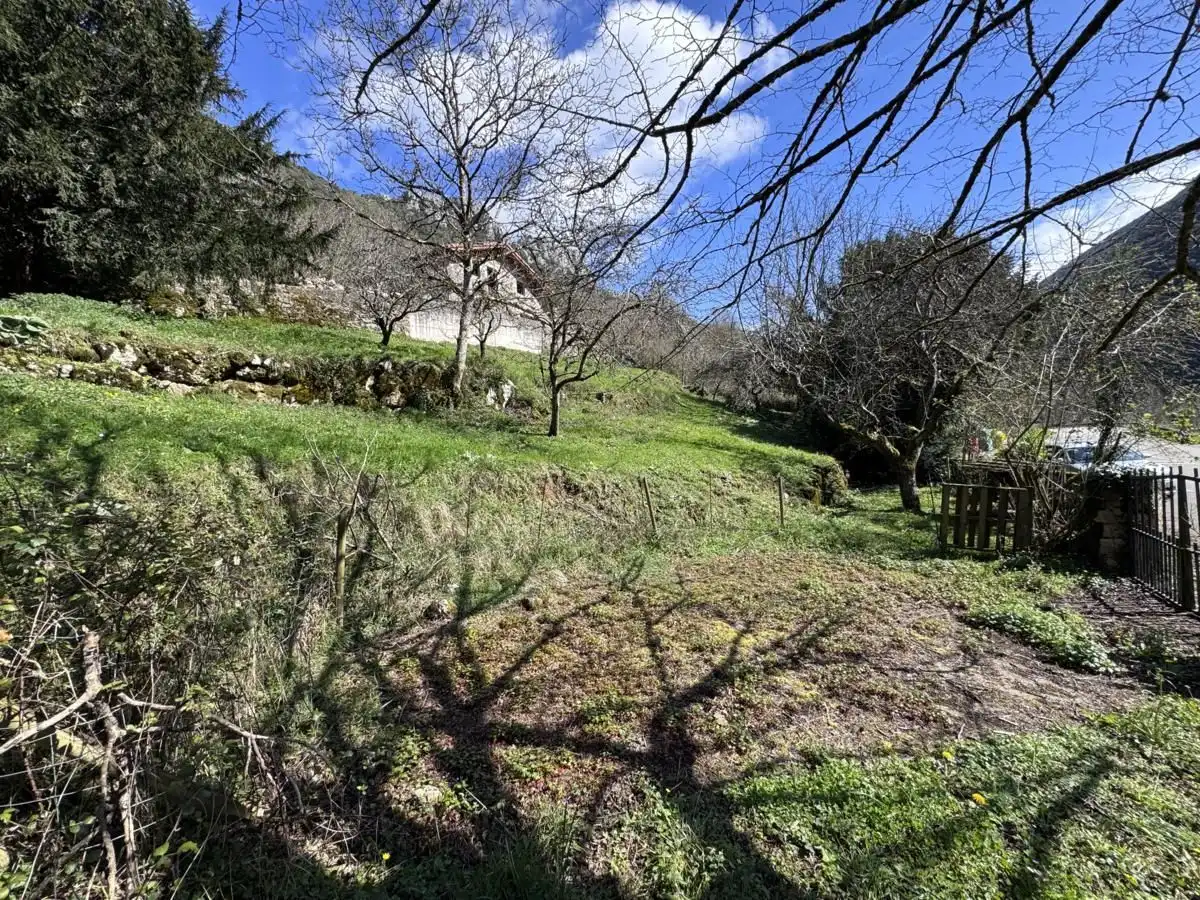 Country homes for sale in Peñamellera Alta  with Private garden