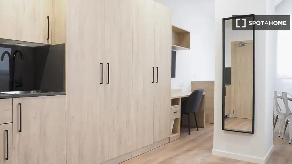 Room in Basurtu