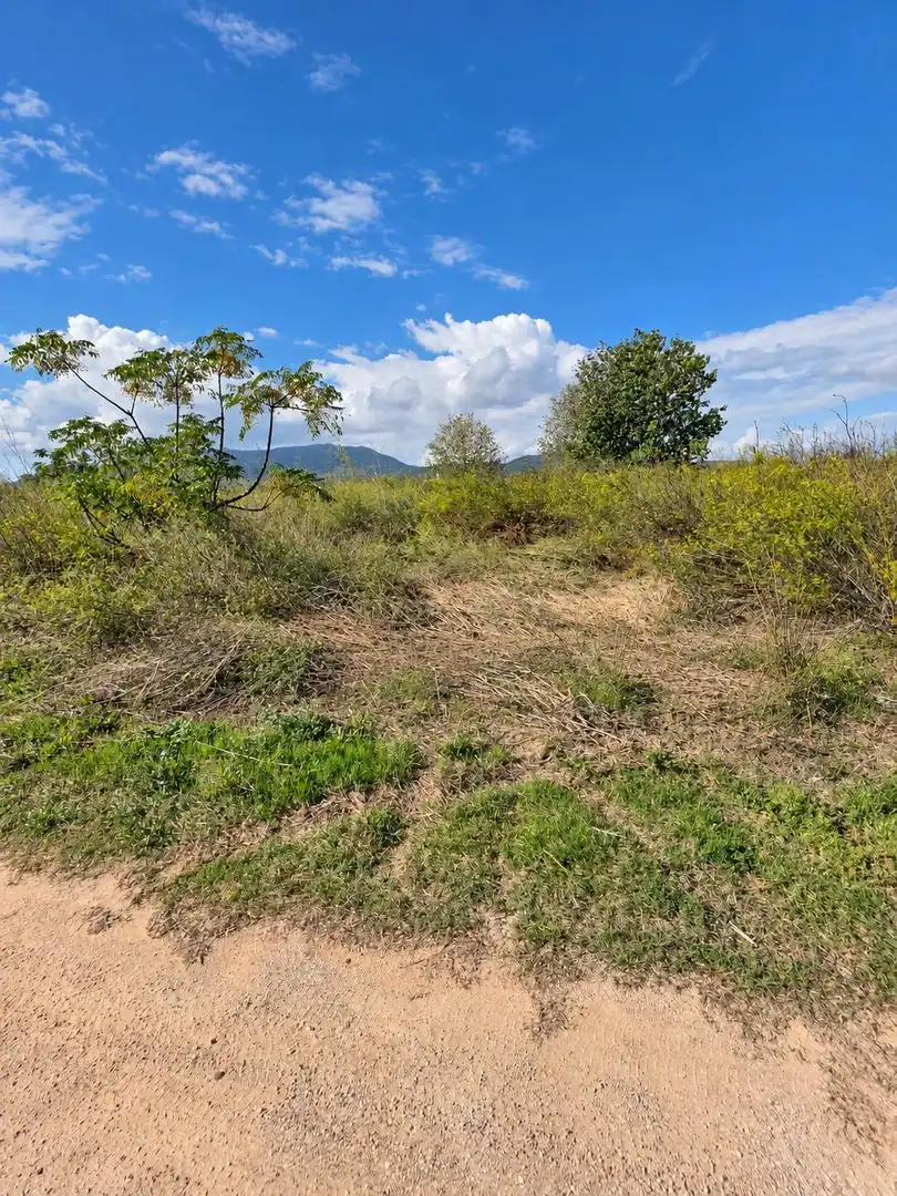 Rural land for sale in Polígono Sèquia de la Figuerola Dreta, imagen 6