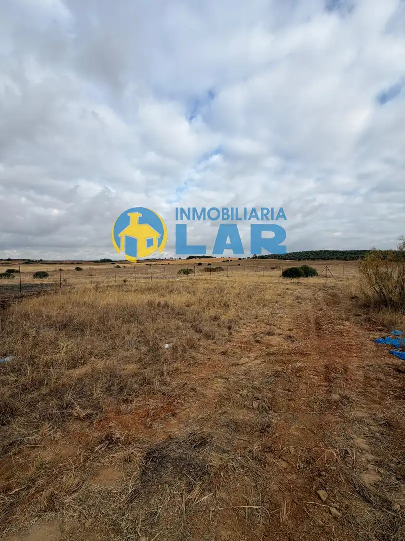 Land for sale in Niebla