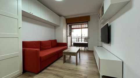 Foto 2 de Estudio de alquiler en Zona Carrefour - Urbanizaciones, Torrevieja