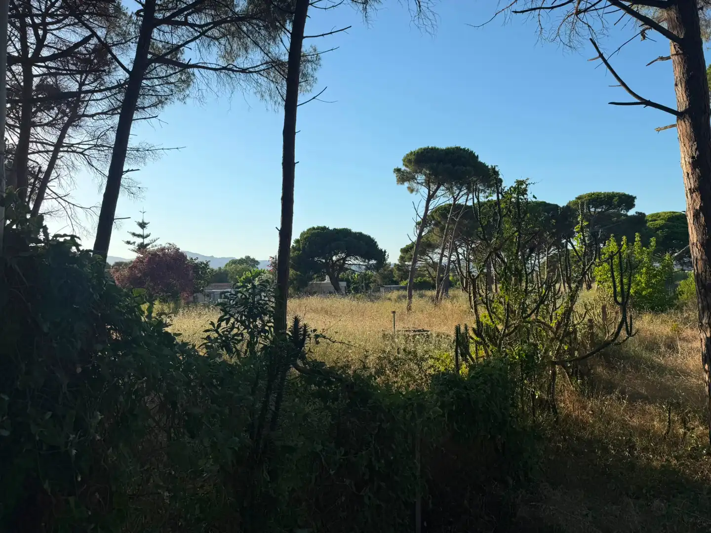 Land for sale in Gavà