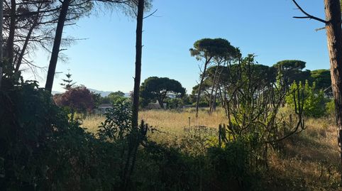Foto 3 de Terreno en venta en Camí de la Pineda, 55, Gavà Mar, Gavà