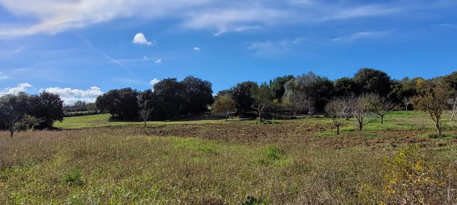 Terrain résidentiel à vendre à Manacor Centre, imagen 8